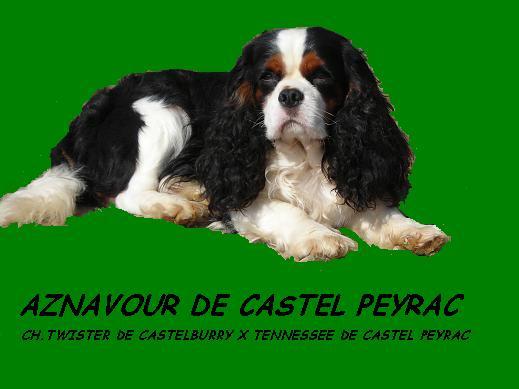 Aznavour De castel peyrac