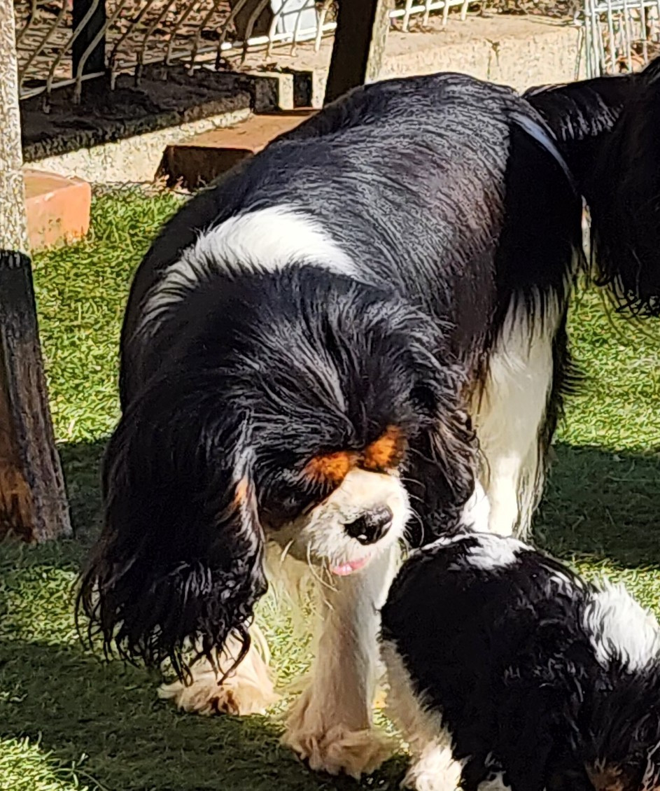 Tanaèle De la geode